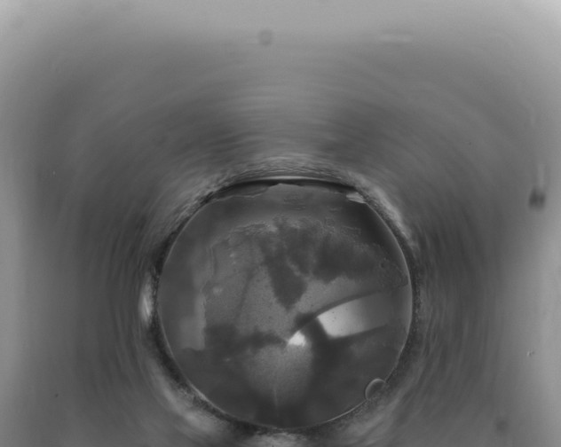 X0000090770069200707271536