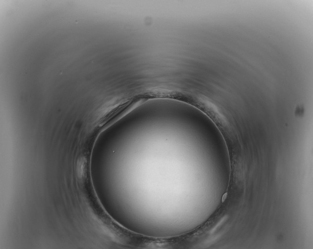 X0000090770071200707271536