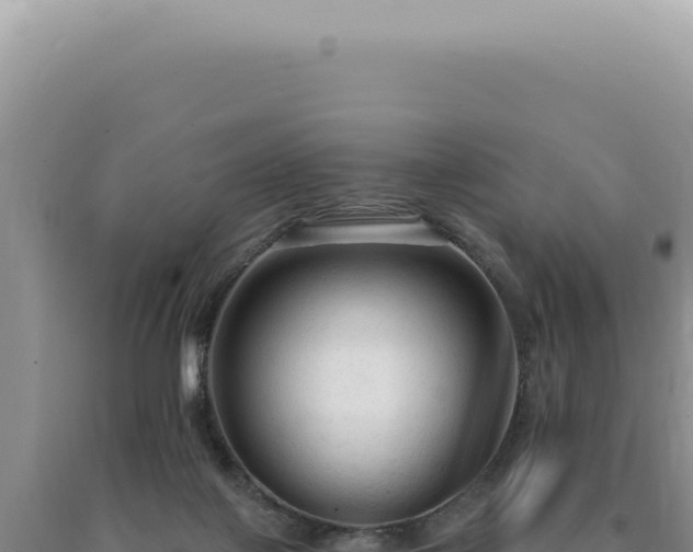X0000090770075200707271536