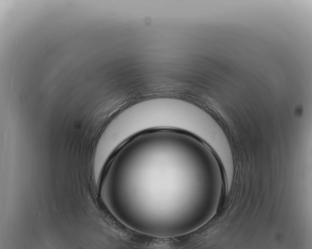 X0000090770076200707271536
