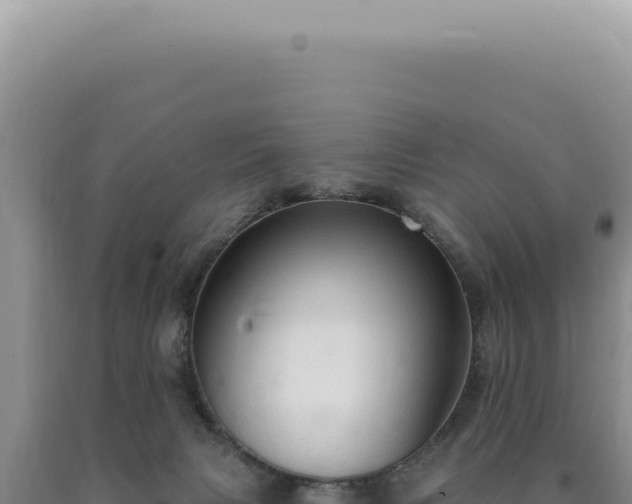 X0000090770079200707271536