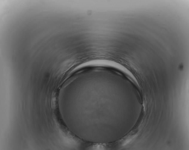 X0000090770080200707271536