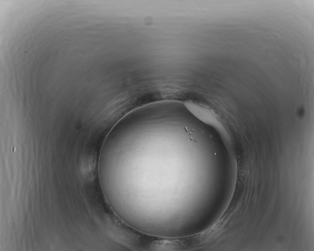X0000090770082200707271536