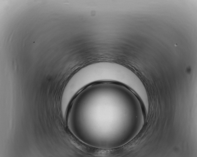 X0000090770084200707271536