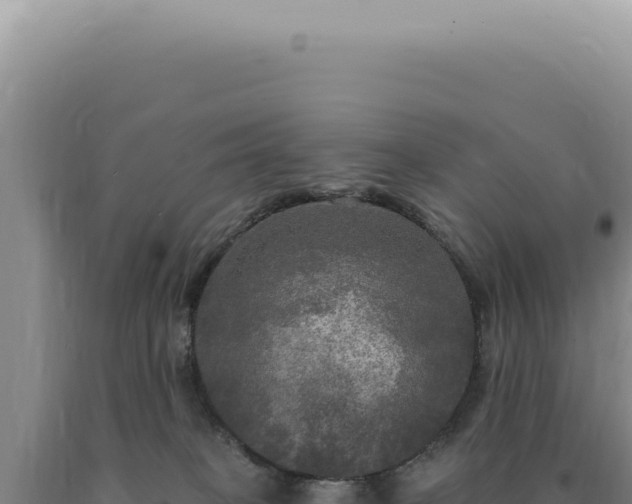 X0000090770085200707271536