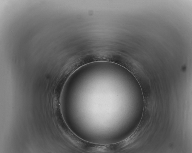 X0000090770086200707271536