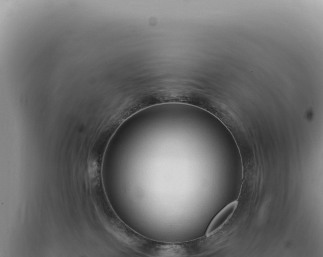 X0000090770087200707271536