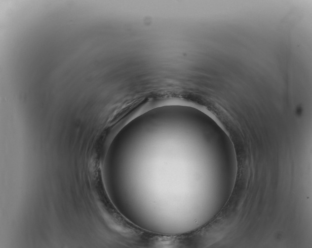 X0000090770088200707271536
