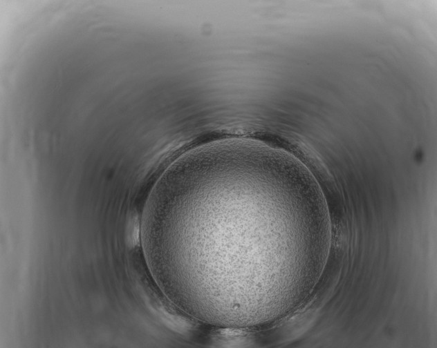 X0000090770095200707271536