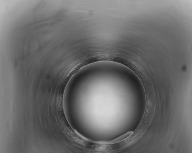 X0000090770096200707271536