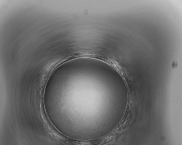 X0000090770097200707271536