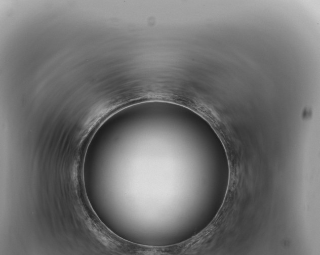 X0000090770098200707271536