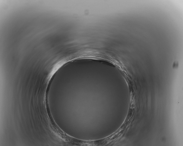 X0000090770099200707271536
