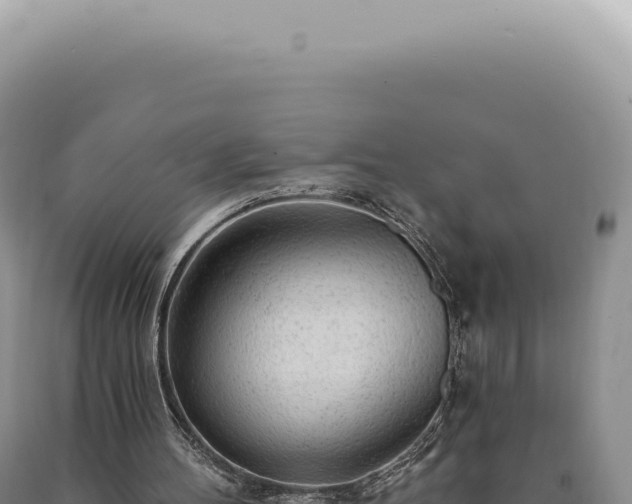 X0000090770100200707271536