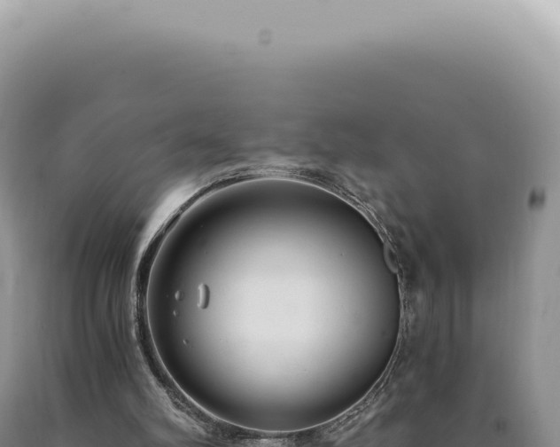 X0000090770102200707271536