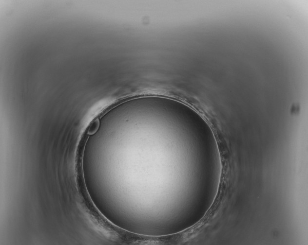 X0000090770104200707271536