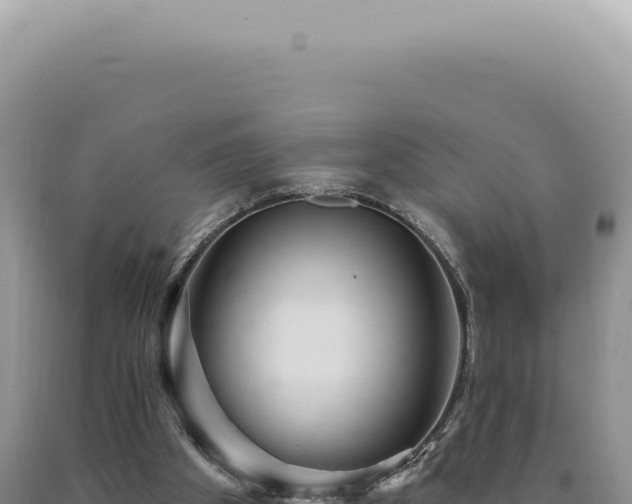 X0000090770105200707271536