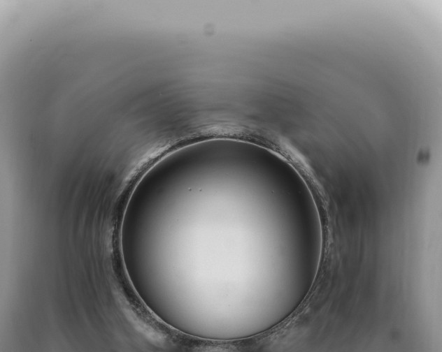 X0000090770106200707271536