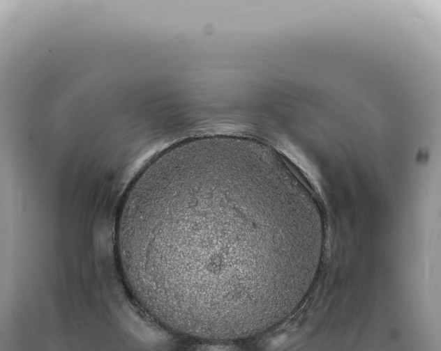 X0000090770107200707271536