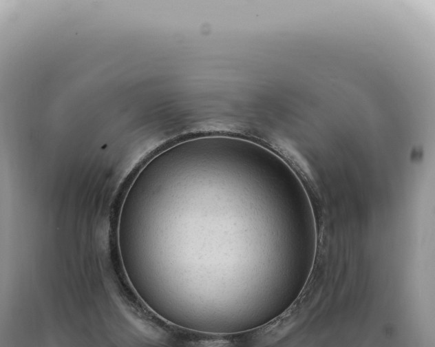X0000090770108200707271536