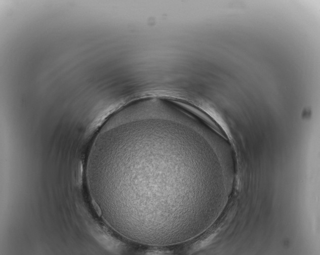 X0000090770109200707271536