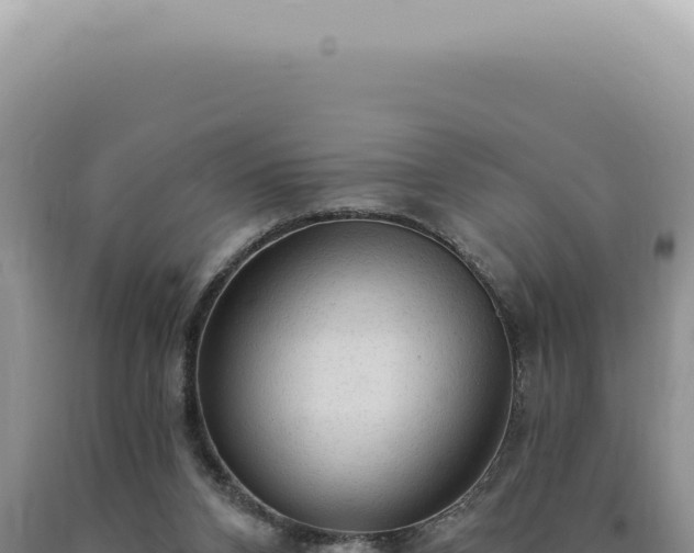 X0000090770112200707271536