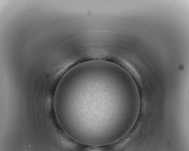 X0000090770113200707271536