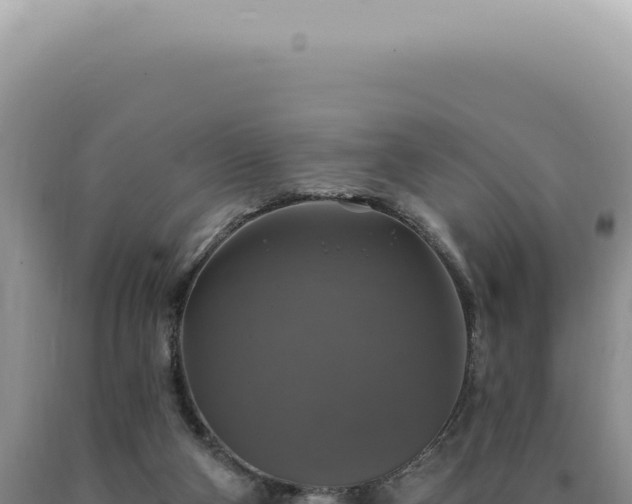 X0000090770114200707271536