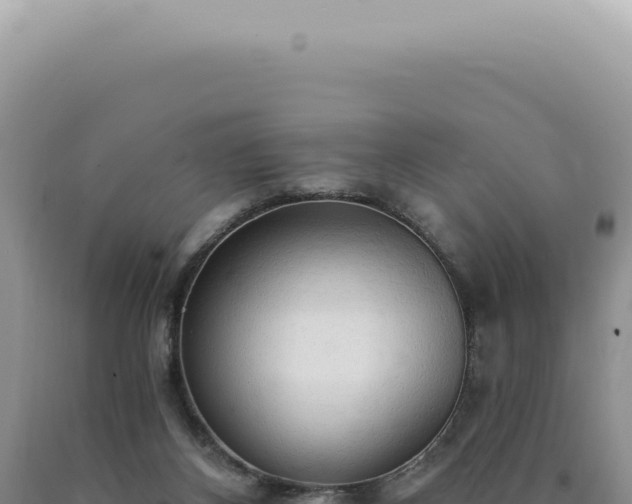 X0000090770116200707271536
