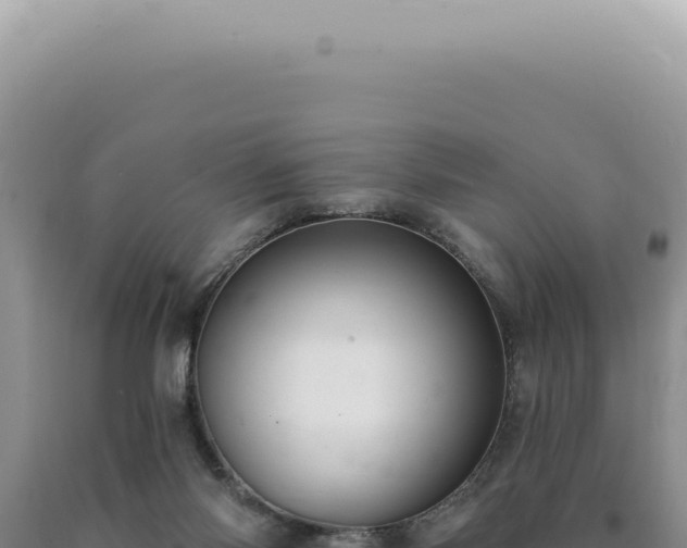 X0000090770118200707271536