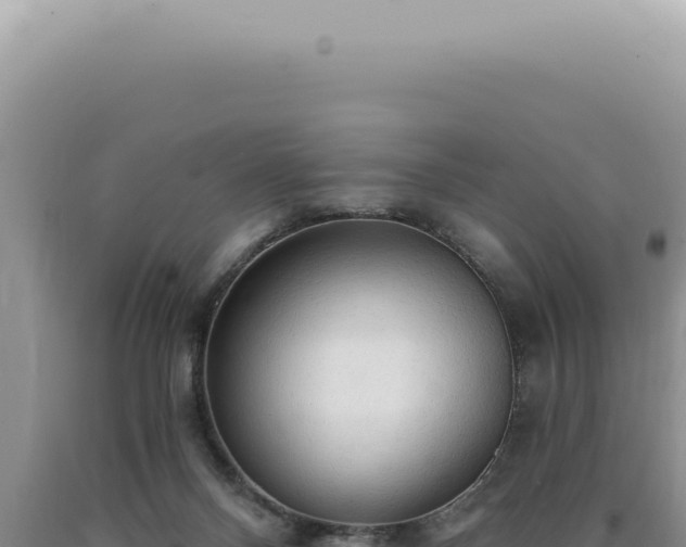 X0000090770120200707271535