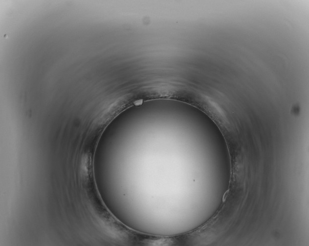 X0000090770122200707271535