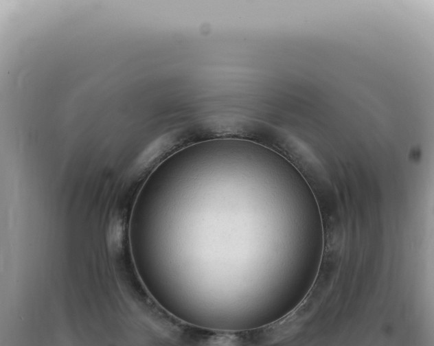 X0000090770124200707271535