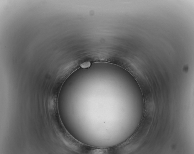 X0000090770126200707271535
