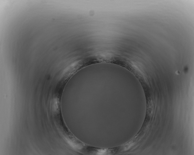 X0000090770130200707271535