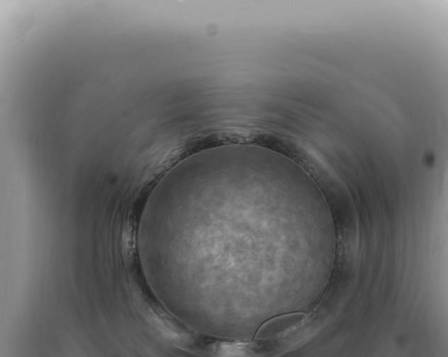 X0000090770134200707271535