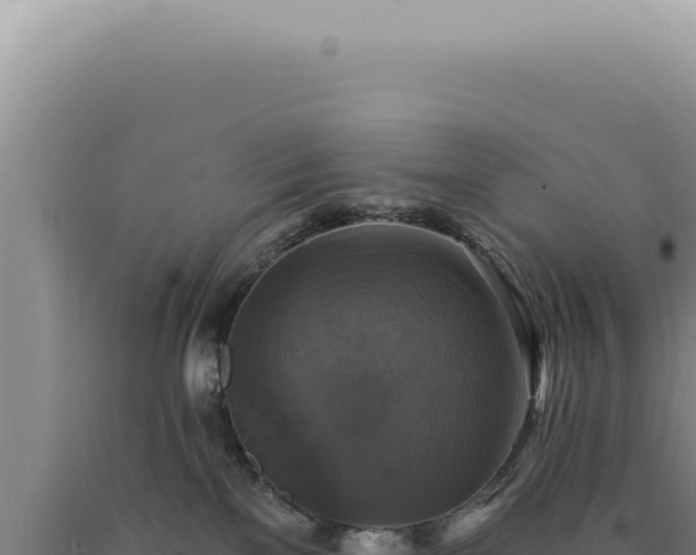 X0000090770137200707271535