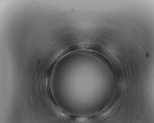 X0000090770139200707271535