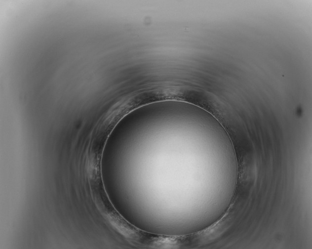 X0000090770140200707271535