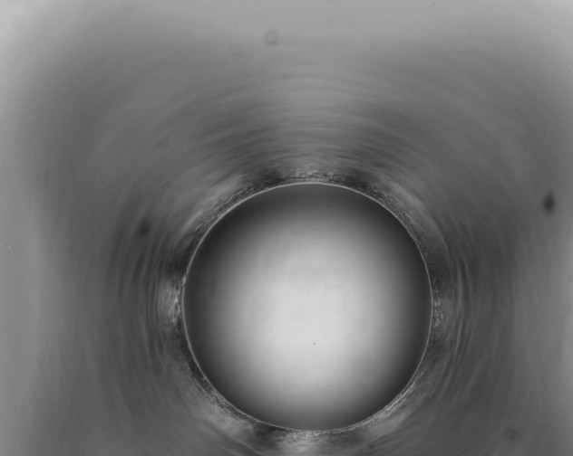 X0000090770142200707271535