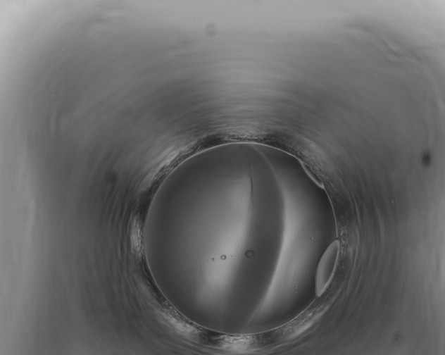 X0000090770143200707271535