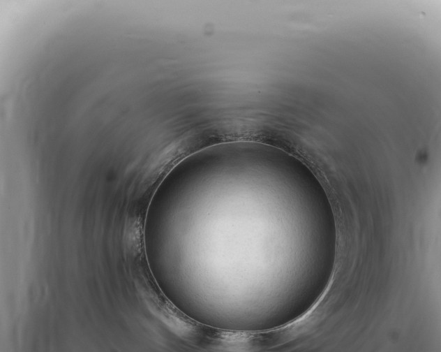 X0000090770144200707271535