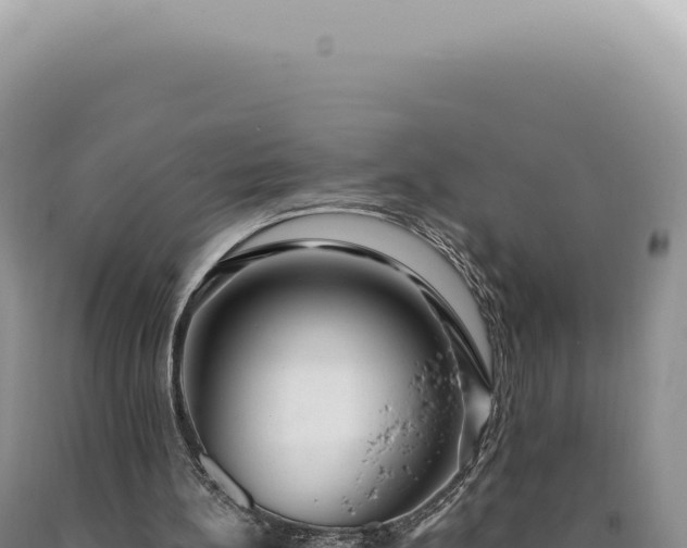 X0000090770148200707271535