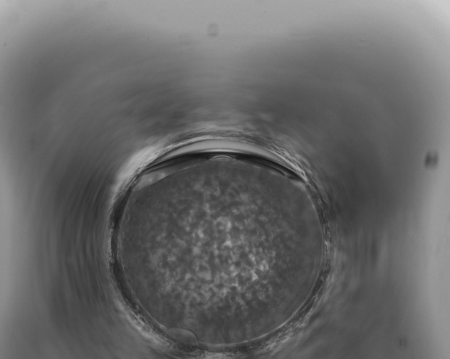 X0000090770149200707271535