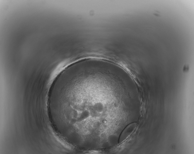X0000090770151200707271535