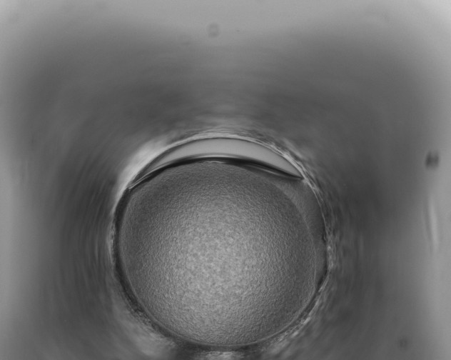 X0000090770152200707271535