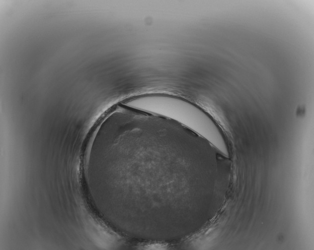 X0000090770156200707271535