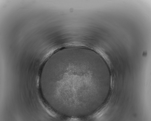 X0000090770157200707271535