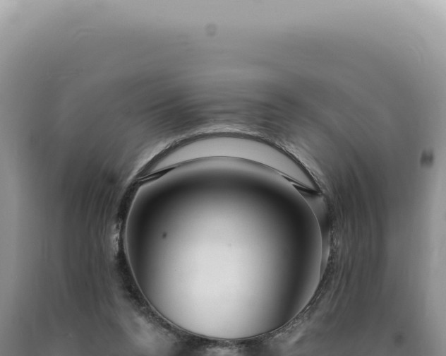 X0000090770160200707271535