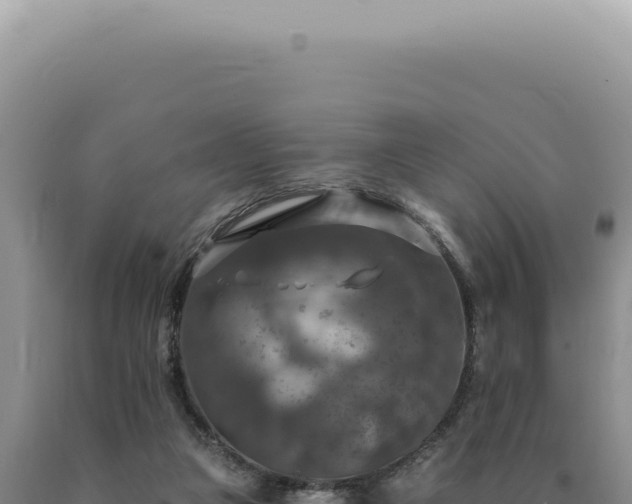 X0000090770161200707271535